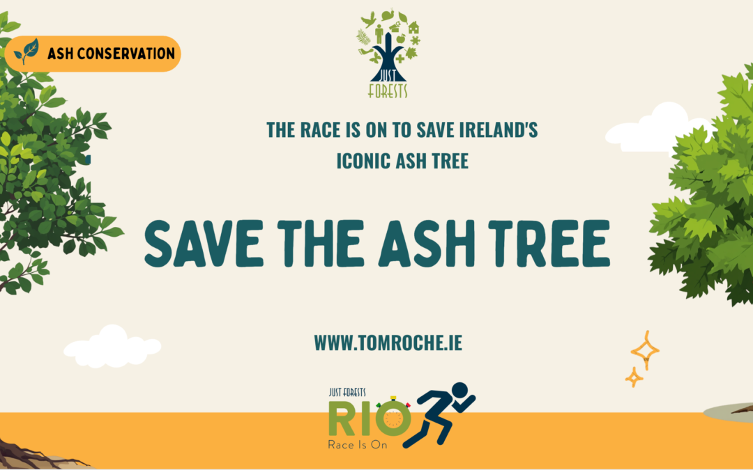Saving Ireland’s iconic ash tree